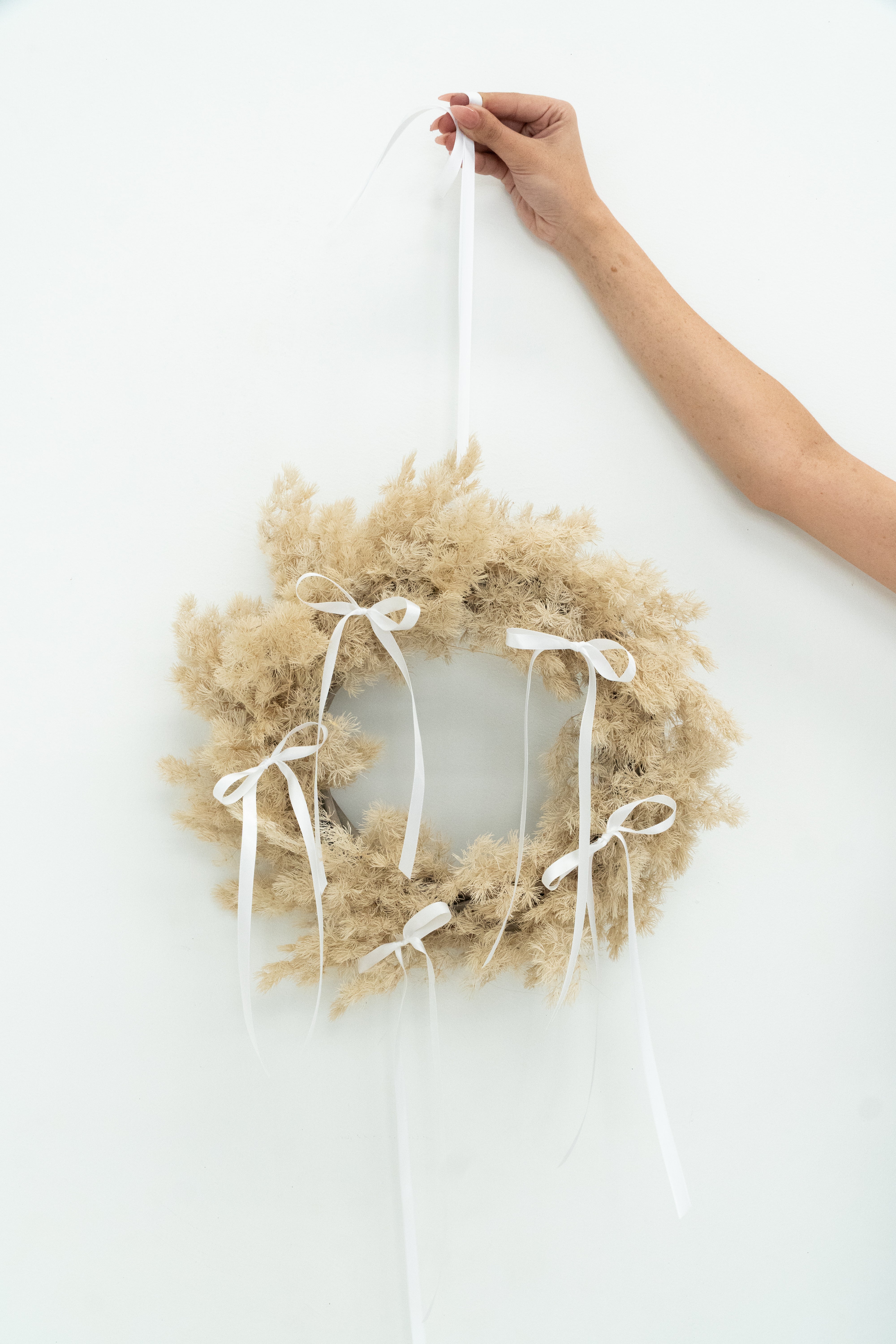 Preserved Ming Fern Wreath with White Dainty Bow