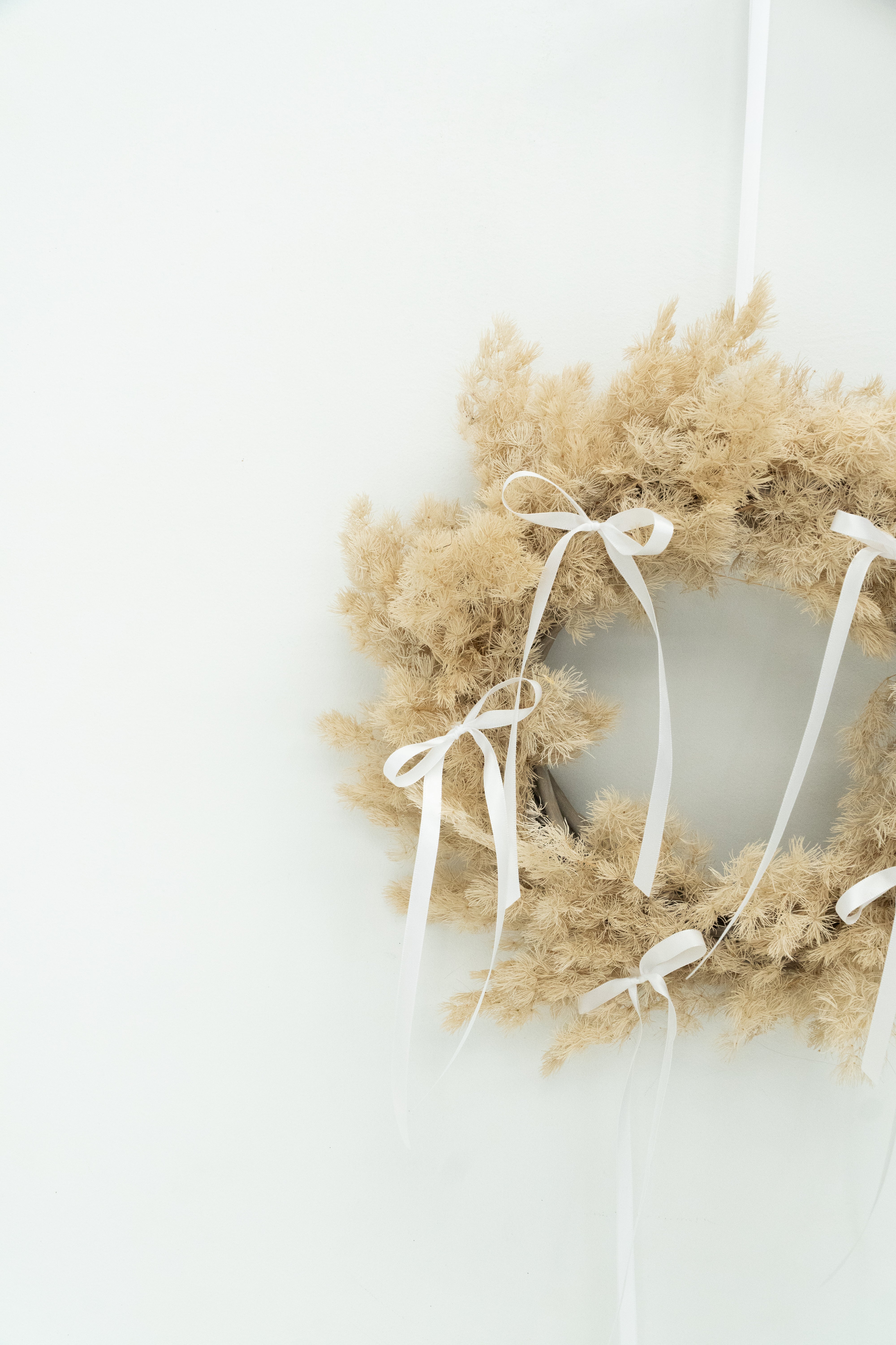 Preserved Ming Fern Wreath with White Dainty Bow