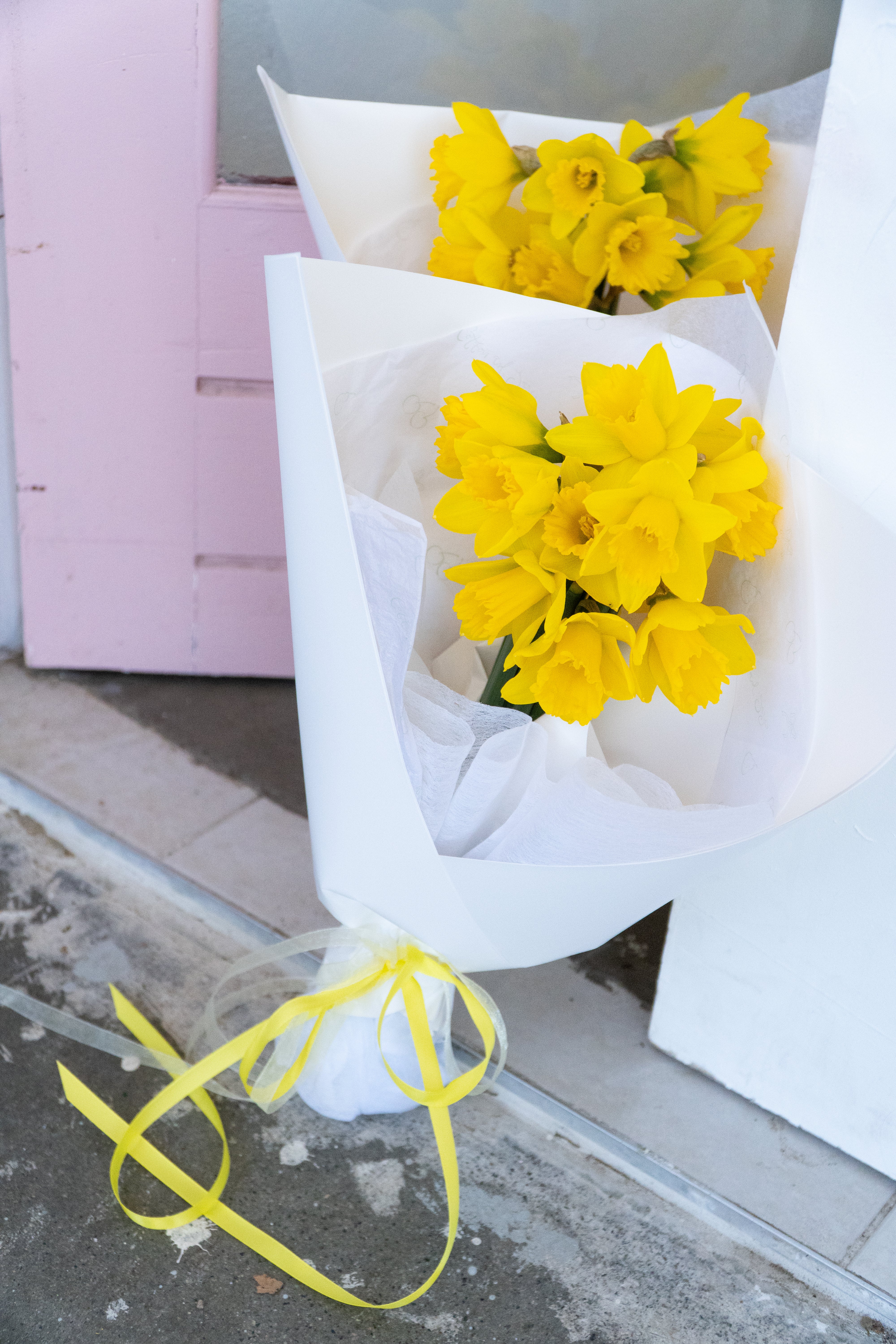 Daffodil Bunch