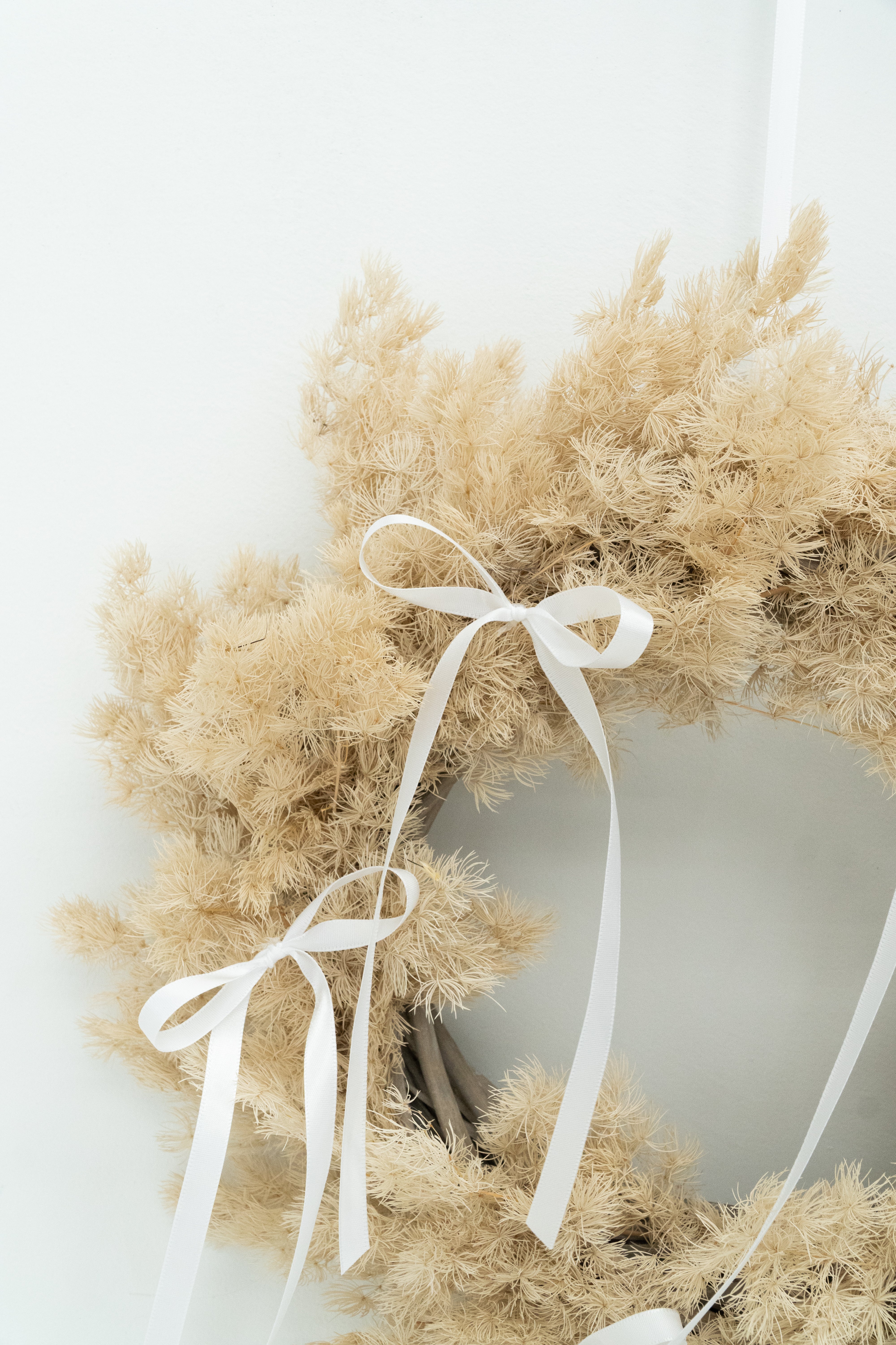 Preserved Ming Fern Wreath with White Dainty Bow