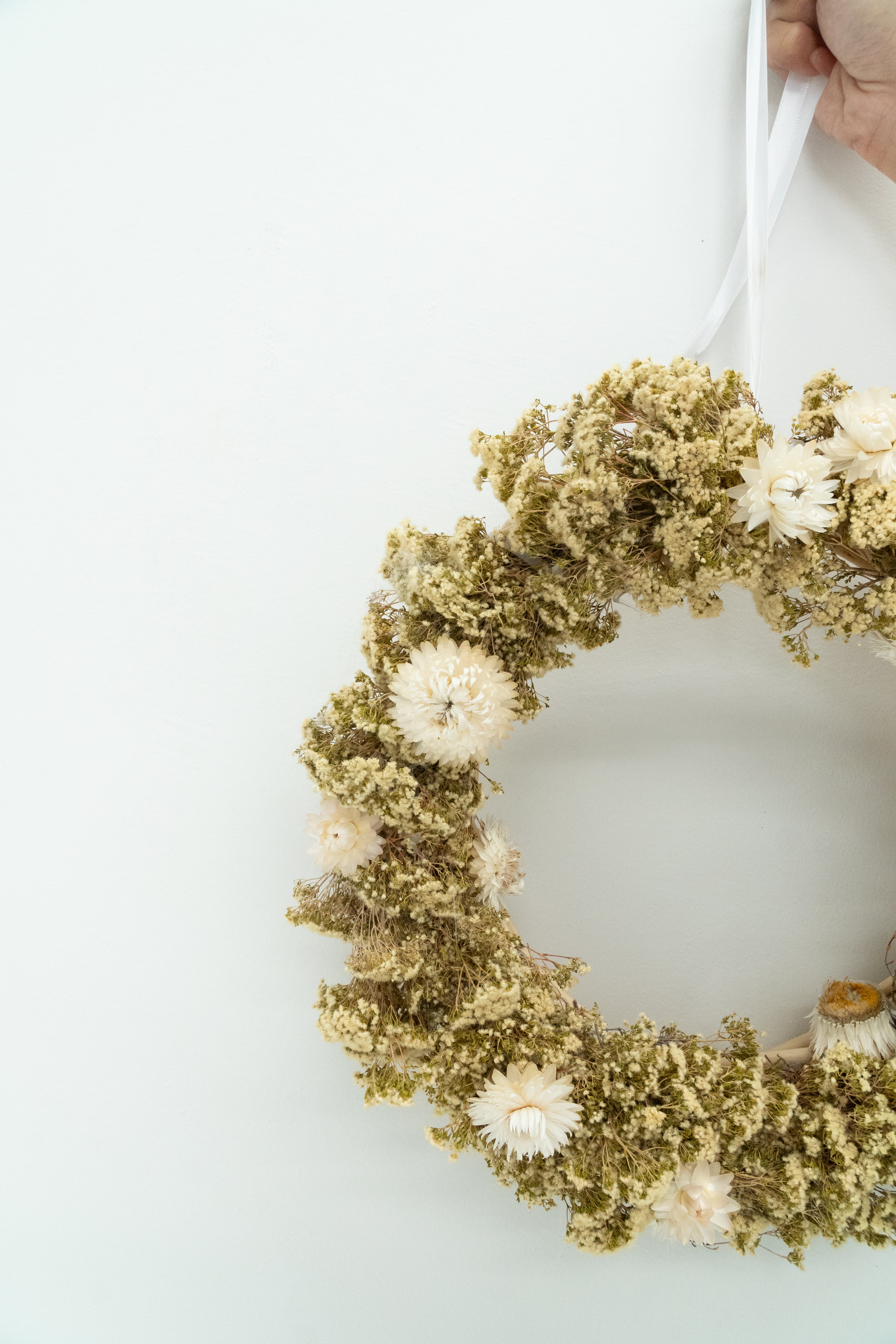 Preserved Verticordia Wreath with White Everlastings