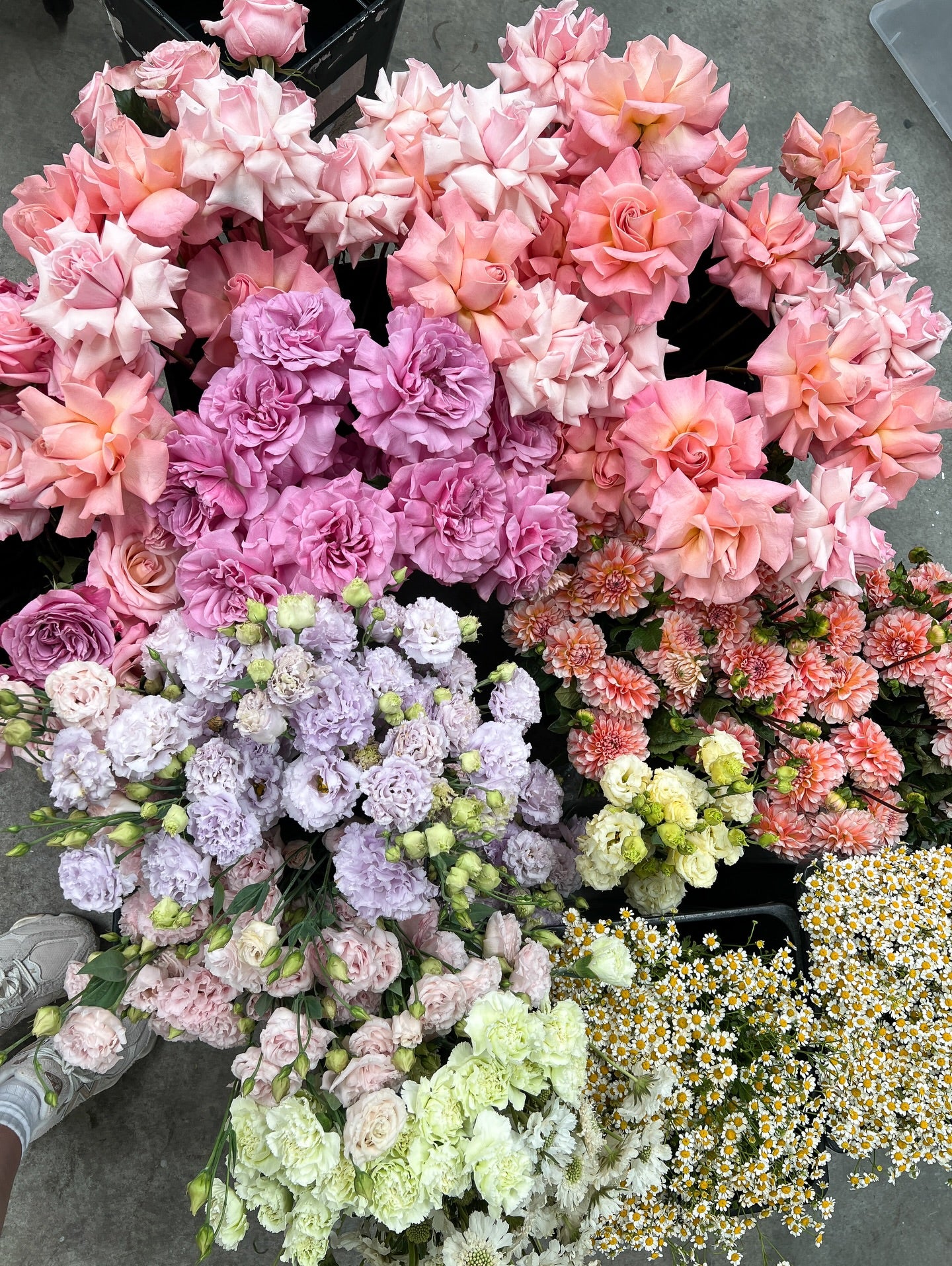 Mother's Day Florist Choice